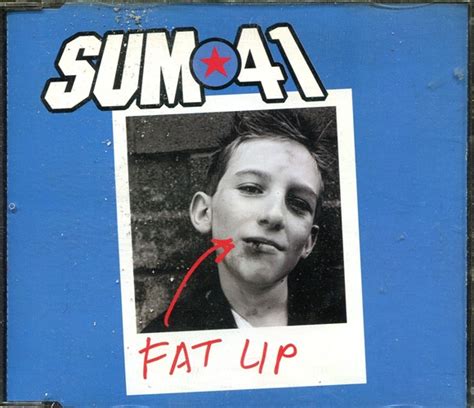 Sum Fat Lip Cd Discogs