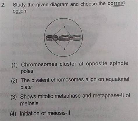 Study The Given Diagram And Choose The Correct Option Filo