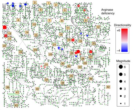 Untargeted Metabolomic Profiling Reveals Multiple Pathway Perturbations