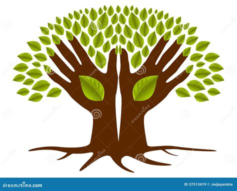 Two Hands Green Tree Stock Vector Image Of Hands Nature 37513419