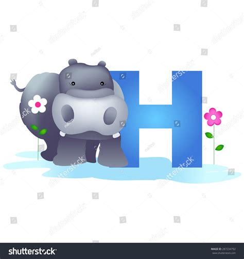 Colorful Animal Alphabet Letter H With A Cute Hippopotamus Flash Card