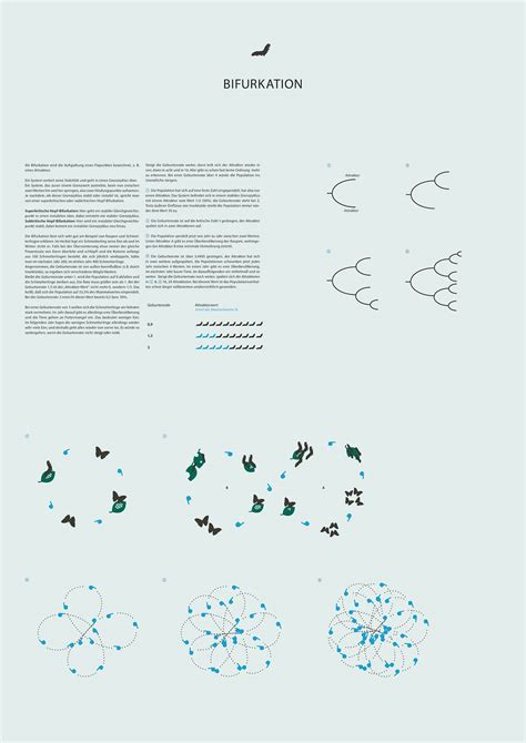 chaos theory on Behance