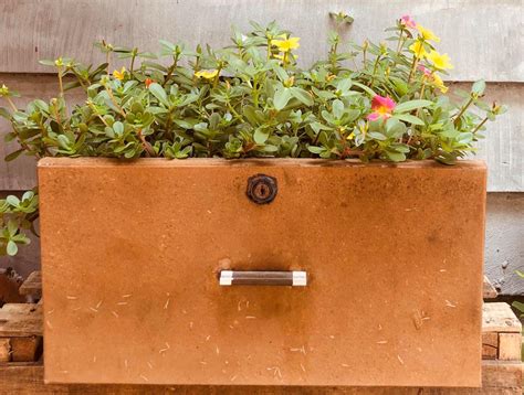 Daisies in drawers? Here’s how you can turn everyday objects into cute
