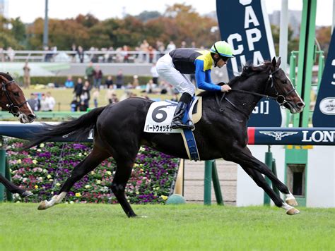 3冠アパパネの子バードウォッチャー、1戦積んだ経験大 国枝師も成長実感／京成杯 3歳馬特集 競馬写真ニュース 日刊スポーツ