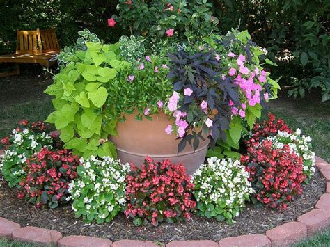 20+ Outdoor Plants And Flowers Ideas - HMDCRTN