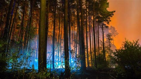 Feuer In Brandenburg Waldbrand In Brandenburg Rauch Zieht Ber