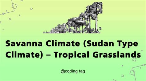 Savanna Climate (Sudan Type Climate) – Tropical Grasslands - Civil ...