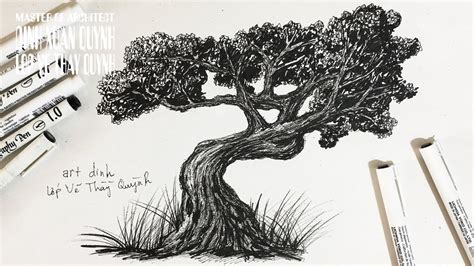 How To Draw Trees Bonsai Tree Realistic Youtube