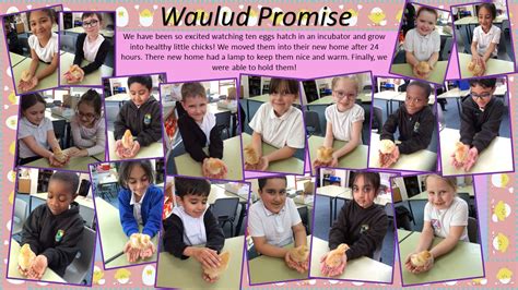 Fossey Year 2 Waulud Primary School And Nursery Wauluds Bank Drive