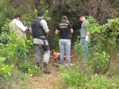 PlantÃo De PolÍcia Jti Mulher é Morta A Pauladas Em Rio Verde Go