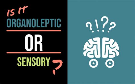 Organoleptic Testing or Sensory Testing | Sensory Spectrum