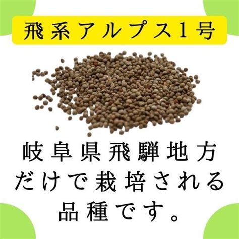 国産 えごま油 サプリ 90粒入 1日3粒 5袋 オメガ3 えごま 無添加 岐阜県産 飛騨産 Keyroom 10002041