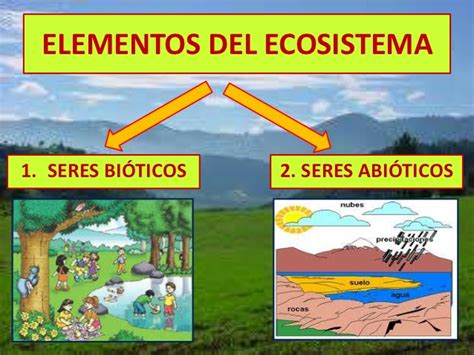 Ecosistemas Mapa Conceptual De Factores Bioticos Y Abioticos