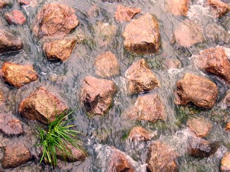 river rocks  pictures freeimages