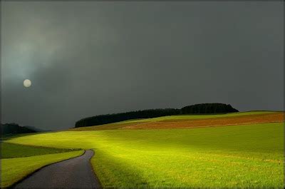 Fresh Pics: Beautiful Corn Field Photography