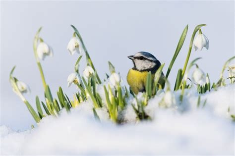 British Wildlife Photography Awards Exhibition | Data Thistle