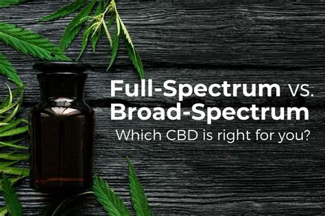 Full Spectrum Vs Broad Spectrum Cbd What S The Difference The Three Snackateers