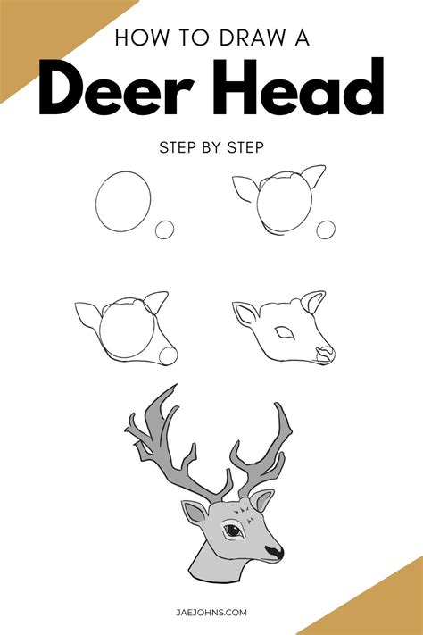 How To Draw A Deer Easy Step By Step