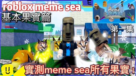 roblox meme sea實測所有meme sea的果實 第一集 基本水果篇 邊緣奕小YT YouTube