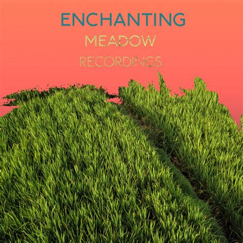 Zzz Enchanting Meadow Recordings Zzz Album By Echoes Of Nature Spotify