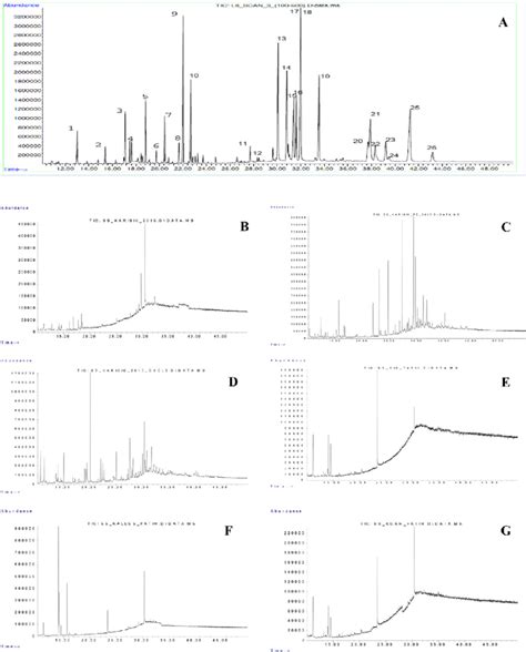 Gc Ms Chromatograms A Tic Chromatogram Of Standards Analysed By Gc Ms Download Scientific