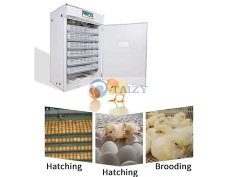 Efficient Chicken Egg Incubator Machine With Good Price