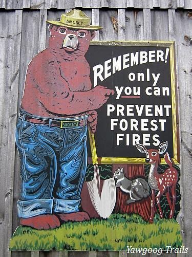 Timeline Photos The Story Of The Yawgoog Trails Smokey The Bears