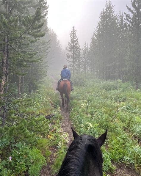 Trail Rides — Wilderness Trails Outfitters