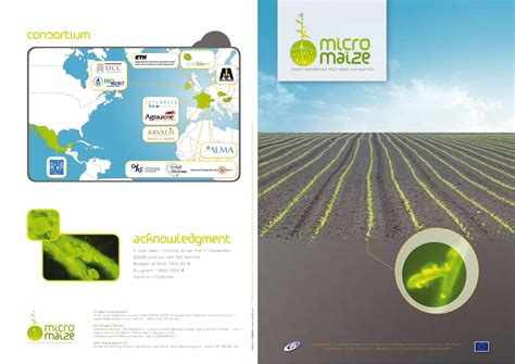 PDF MicroMaize Management Of Plant Beneficial Microbes To Balance