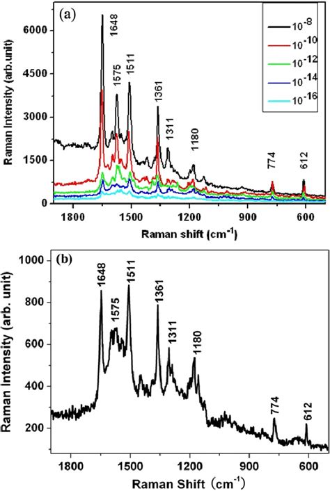 A Raman Spectra Of R6g At Concentrations Ranging From 1 × 10 −8 To 1