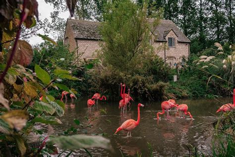 Best Things To Do In Bourton On The Water In The Cotswolds The