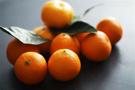 The Dwarf Tangerine Tree Minneopa Orchards