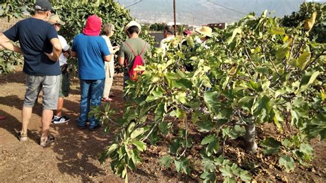 El Instituto De Investigaciones Agrarias Fomenta La Conservaci N De Las