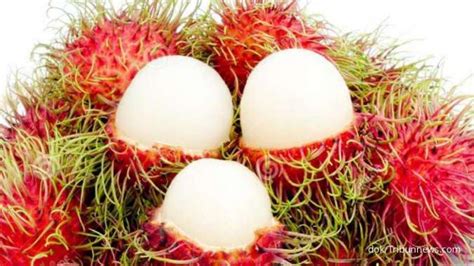 Manfaat Buah Rambutan Untuk Kesehatan Yang Jarang Diketahui