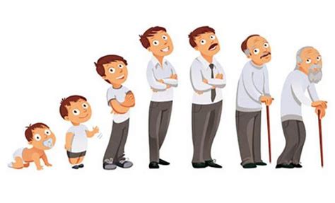 Desenvolvimento Humano Fases