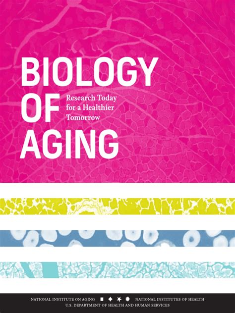 Biology Of Aging Pdf Telomere Senescence