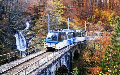 Foliage Piemonte Mete Imperdibili Dove Ammirare Lo Spettacolo