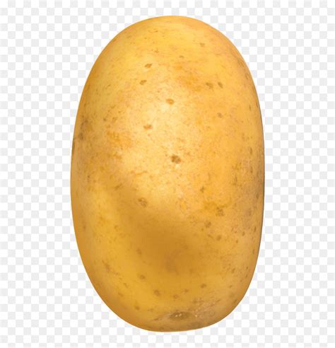 Potato- - Yukon Gold Potato, HD Png Download - vhv