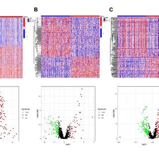 Microscopic Evaluation Of Tumourstroma Ratio On Hematoxylin And Eosin