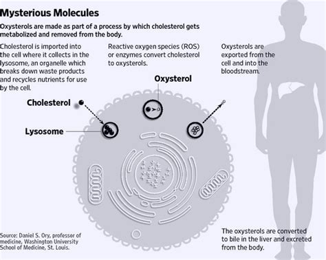 oxysterols linked   diseases wsj