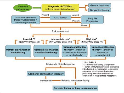 Treatment Algorithm For Ctd Pah Download Scientific Diagram