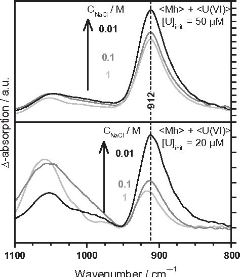 Figure From Probing The Surface Speciation Of Uranium Vi On Iron