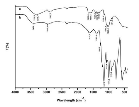 Ftir Spectrum Of The Samples Of Chitosan A And Tmq B Download