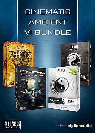 New Big Fish Audio CINEMATIC AMBIENT VI BUNDLE MAC PC Reverb