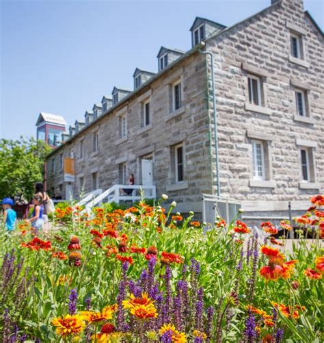 À la découverte de l Île des Moulins Découvrir Les Moulins Tourisme