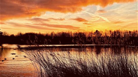 Rushcliffe Country Park At Sunrise 4k Youtube