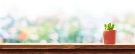 Small Green Cactus In Pot On Wood Table With Abstract Blur Garden