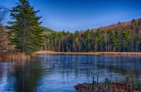 Wallpaper Blue Trees Sky Lake Green Nature Water Pond