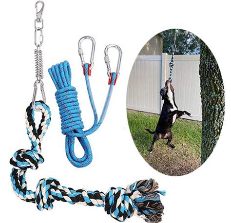 Dog-Friendly Spring Poles That Will Keep Your Pup Entertained