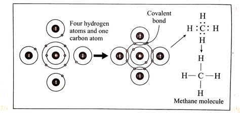 Draw the electron dot structure and line structure of methane molecule